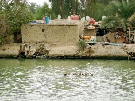صورة أبو الخصيب صورة أبو الخصيب