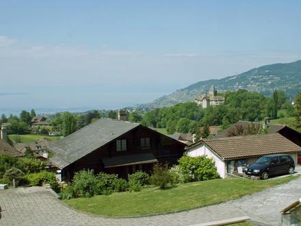 Blonay Image