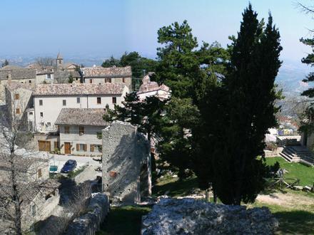 Immagine Smerillo Immagine Smerillo