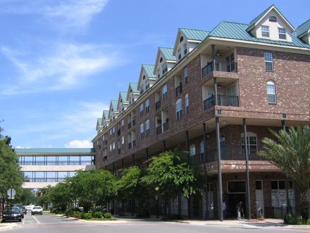 Image of Gainesville, Florida Image of Gainesville, Florida