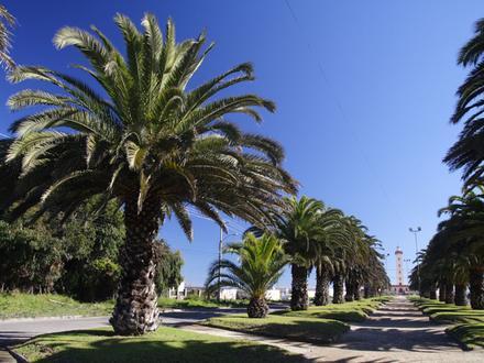 La Serena, Chile Image