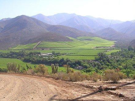 Monte Patria Image