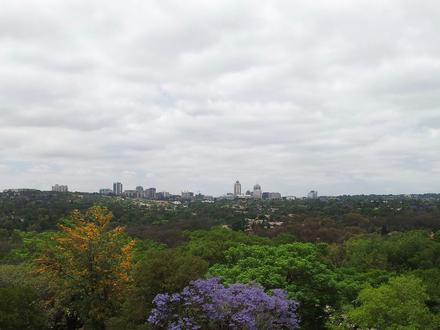 Afbeelding van Sandton Afbeelding van Sandton