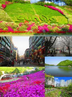 Hình ảnh về Gunpo Hình ảnh về Gunpo