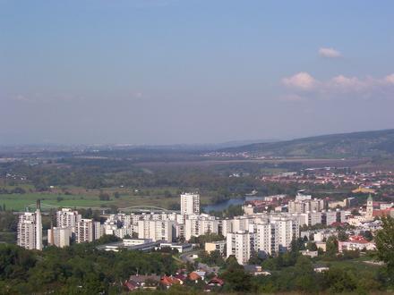 Obrázok Hlohovec Obrázok Hlohovec