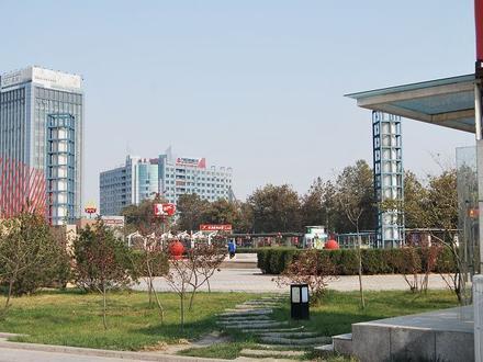 Image of Zibo Image of Zibo