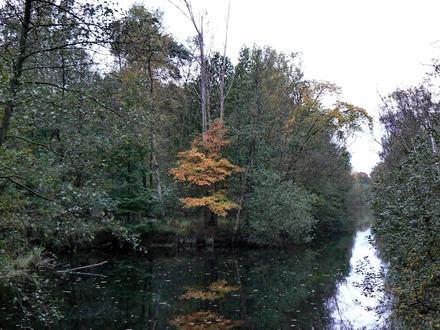 Afbeelding van Brasschaat Afbeelding van Brasschaat
