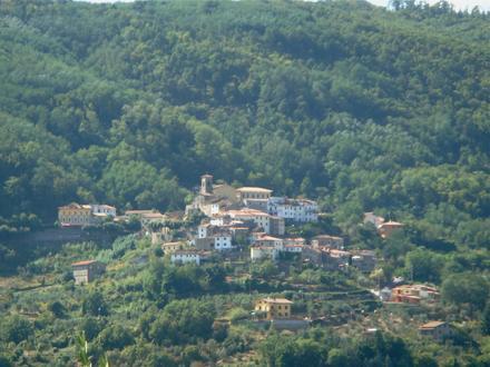 Immagine Marliana Immagine Marliana