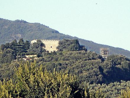 Immagine Montemurlo Immagine Montemurlo