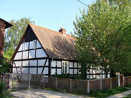 Immagine Krzekowo-Bezrzecze Immagine Krzekowo-Bezrzecze