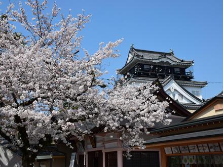 Image of Okazaki, Aichi Image of Okazaki, Aichi