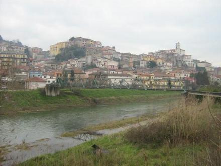 Immagine Polla Immagine Polla