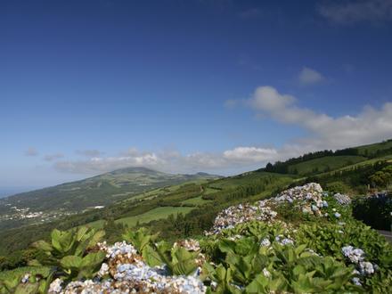 Calheta Paveiksliukas