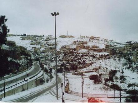 صورة السلط صورة السلط