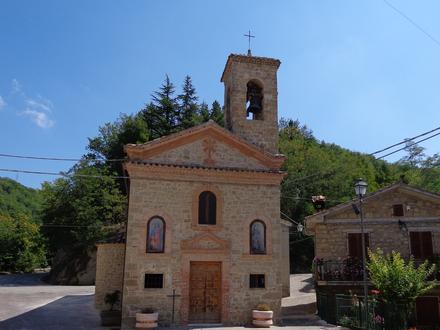 Immagine Palmiano Immagine Palmiano