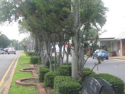 Image of Jonesboro, Louisiana Image of Jonesboro, Louisiana