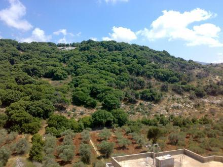 صورة محرونة صورة محرونة