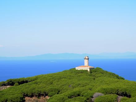 Immagine Isola del Giglio Immagine Isola del Giglio
