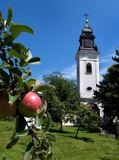 Slika mesta Инђија Slika mesta Инђија