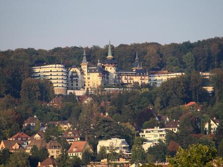 Bild von Hottingen (Stadt Zürich) Bild von Hottingen (Stadt Zürich)