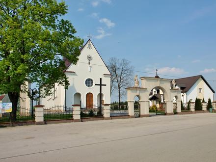 Zdjęcie dla: Jadowniki Mokre Zdjęcie dla: Jadowniki Mokre