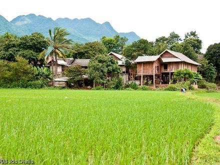 Image of Mai Châu District Image of Mai Châu District